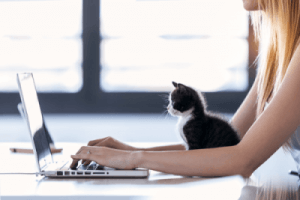 katt och kvinna sitter bredvid datorn. Svhemalägger med Facebook Creator Studio